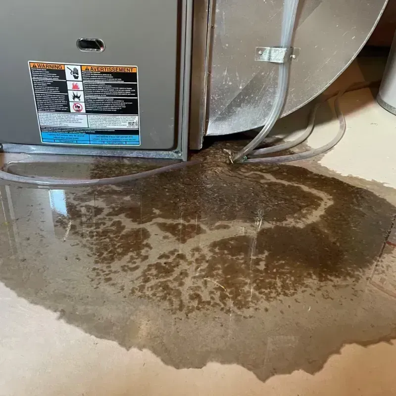 Appliance Leak Cleanup in Easton, CA